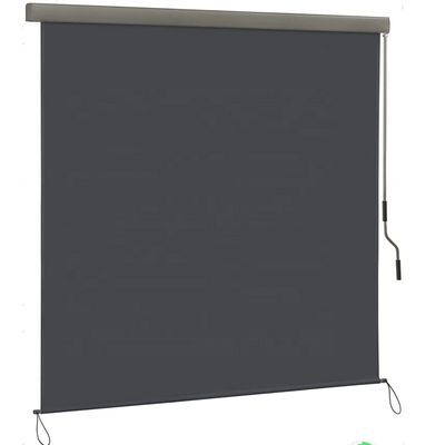 Proteção solar e da privacidade Roller blind extensível para o exterior com mecanismo de manivela manual