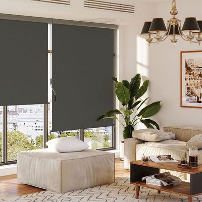 Proteção solar e da privacidade Roller blind extensível para o exterior com mecanismo de manivela manual