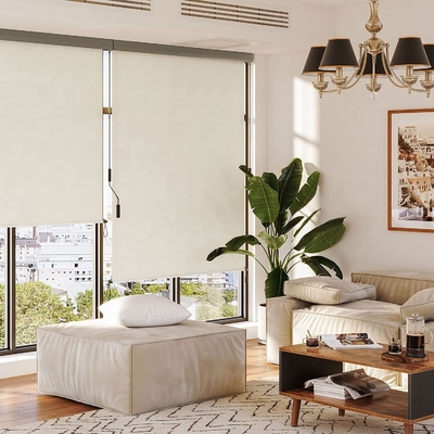 Balcão Proteção solar e da privacidade Mecanismo de manivela manual Vertical Outdoor Roller Blind