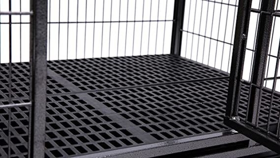 Cães Grandes Ceniço e Caixa de Metal Pesado com Quatro Rodas em Preto Sólido